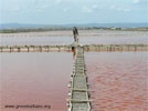 The colours of salt