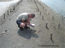 Research and monitoring of the birds