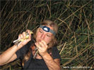 Bird ringing