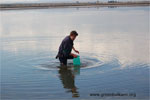 Research of the hydrology and biology of the lake 