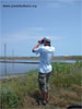 Research and monitoring of the birds