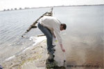 Monitoring of the hydrological and chemical characteristics