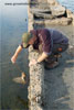 Research and monitoring of the biodiversity