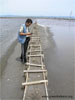 Research and monitoring of the biodiversity