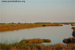 Lagoon in the delta of the River Po