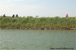 Bike trail around the wetland